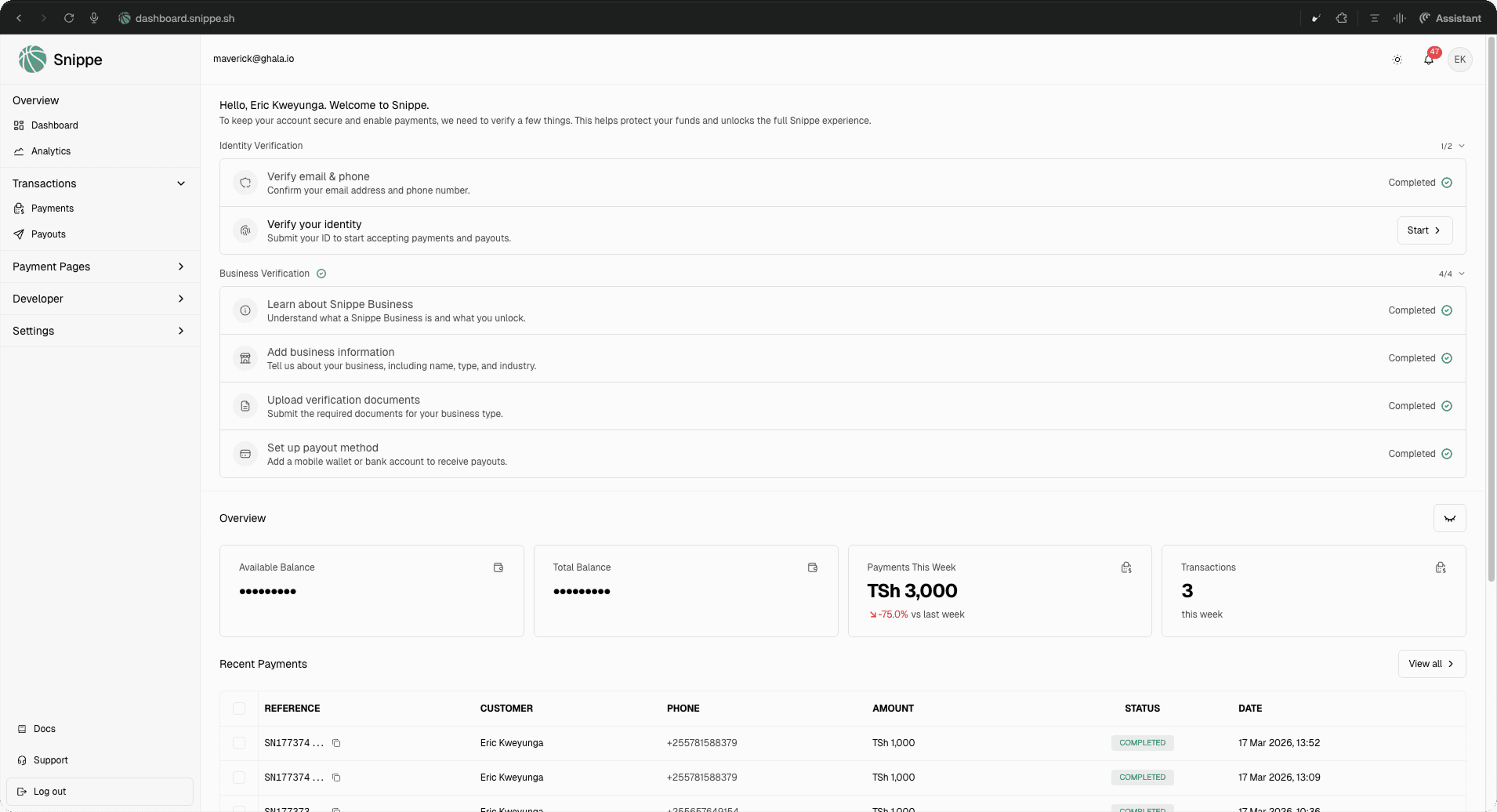 Snippe Dashboard