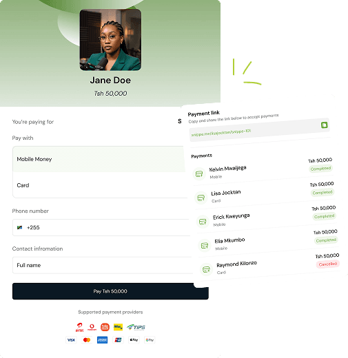 Snippe payment link preview